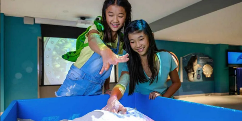 aussiebucketlist.com.au - Dolphin Discovery Centre Bunbury - 4