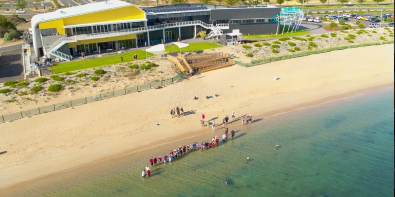 aussiebucketlist.com.au - Dolphin Discovery Centre Bunbury - 7