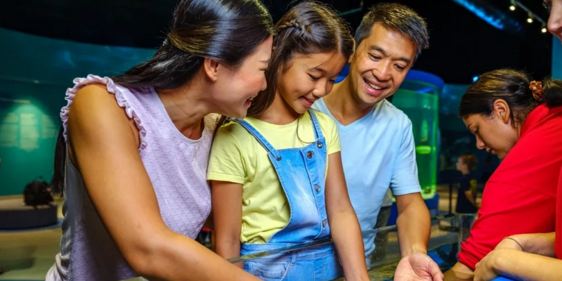 aussiebucketlist.com.au - Dolphin Discovery Centre Bunbury - 9