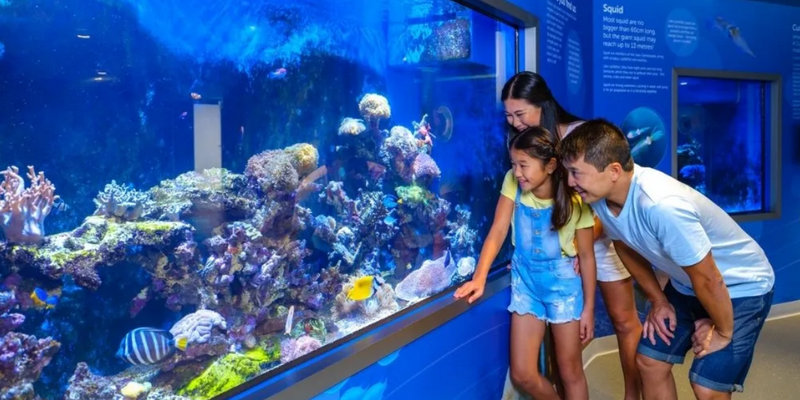 aussiebucketlist.com.au - Dolphin Discovery Centre Bunbury - 10