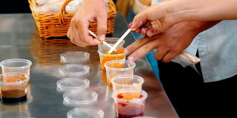 aussiebucketlist.com.au - Sarina Sugar Shed Tour & Tasting Experience - 5