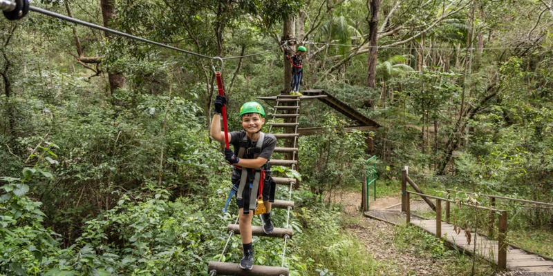 aussiebucketlist.com.au - Gold Coast Hinterland Treetop Challenge - 2