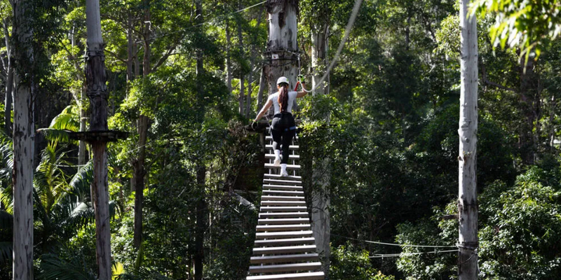 aussiebucketlist.com.au - Gold Coast Hinterland Treetop Challenge - 3
