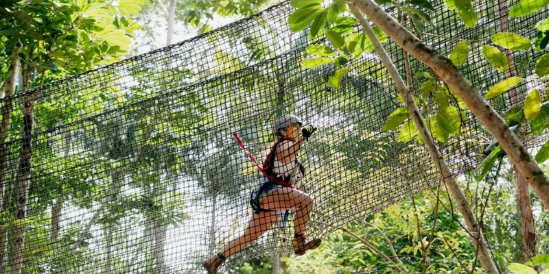 aussiebucketlist.com.au - Gold Coast Hinterland Treetop Challenge - 5