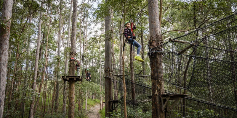 aussiebucketlist.com.au - Gold Coast Hinterland Treetop Challenge - 7