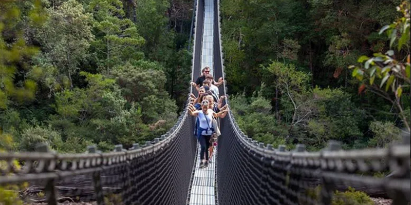 aussiebucketlist.com.au - Tahune Air Walk - 1
