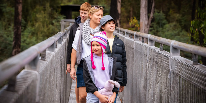 aussiebucketlist.com.au - Tahune Air Walk - 2