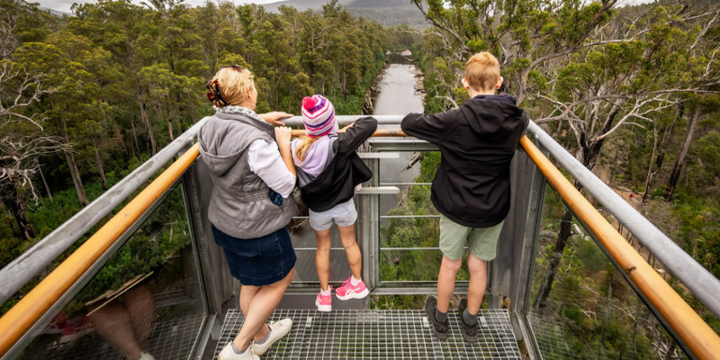 aussiebucketlist.com.au - Tahune Air Walk - 3