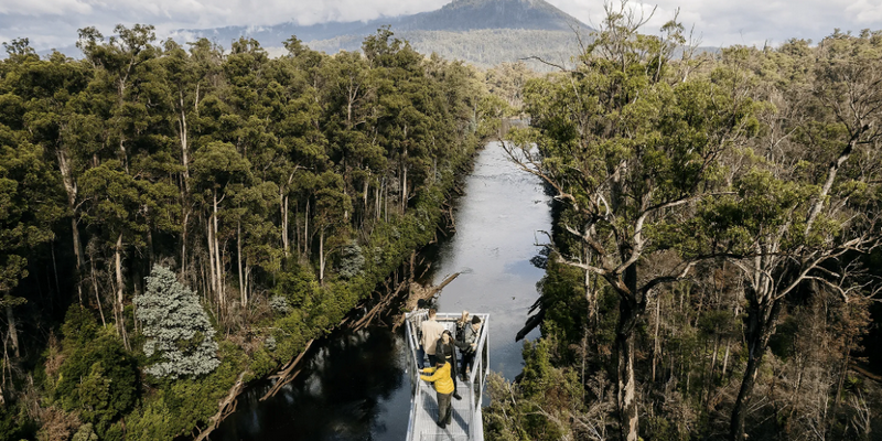 aussiebucketlist.com.au - Tahune Air Walk - 4
