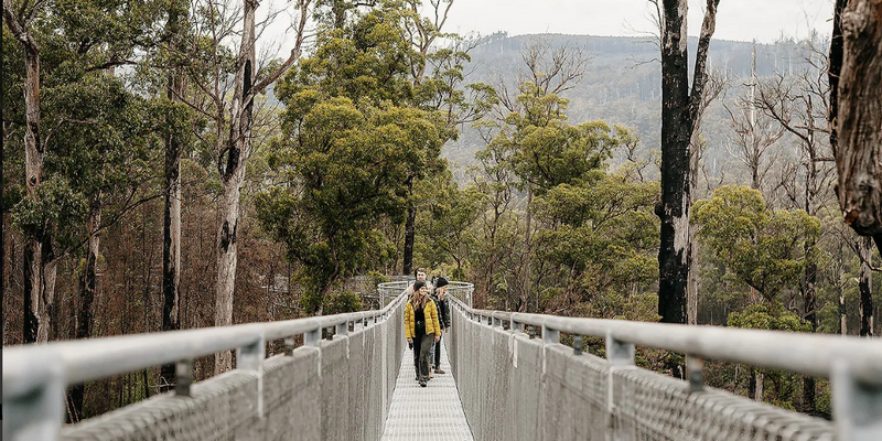 aussiebucketlist.com.au - Tahune Air Walk - 6