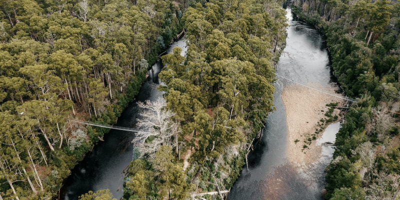 aussiebucketlist.com.au - Tahune Air Walk - 7