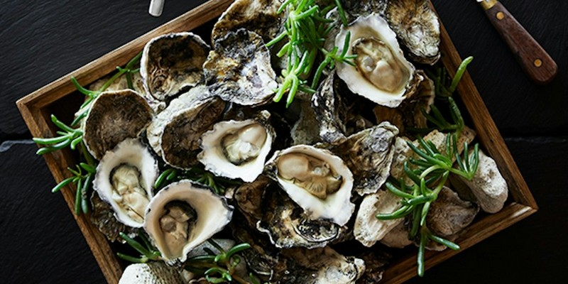 aussiebucketlist.com.au - Pebble Beach (Qualia) - 3