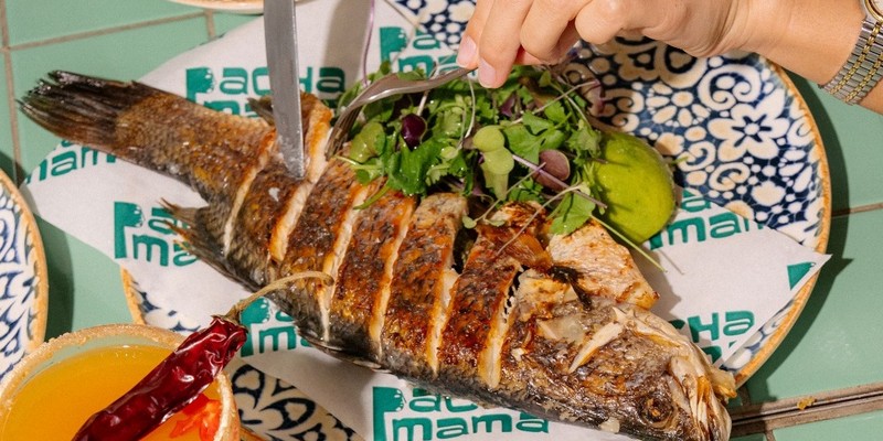 aussiebucketlist.com.au - Forest - 2