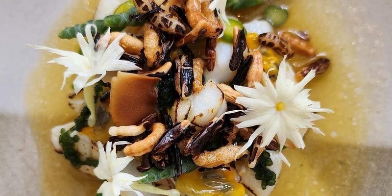 aussiebucketlist.com.au - Arrana - 7