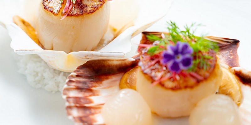 aussiebucketlist.com.au - Paste Australia - 8