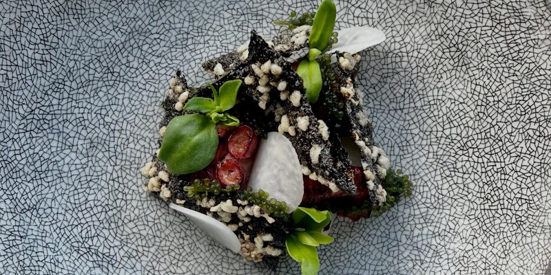 aussiebucketlist.com.au - The Cowrie - 1