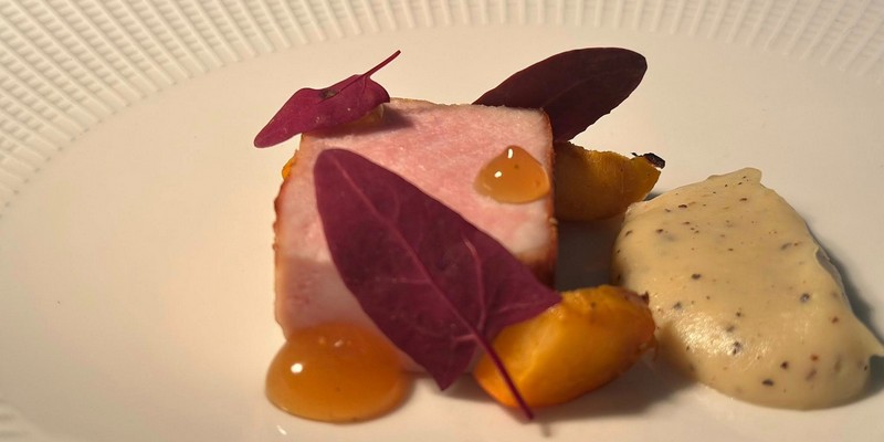 aussiebucketlist.com.au - The Cowrie - 3