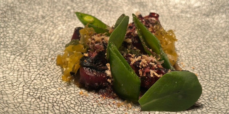 aussiebucketlist.com.au - The Cowrie - 4