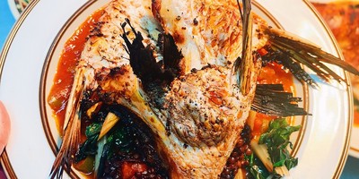 The Enchanted Fig Tree