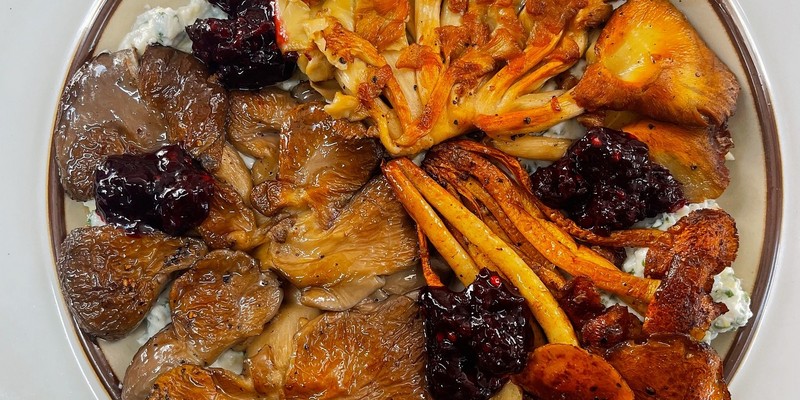 aussiebucketlist.com.au - The Enchanted Fig Tree - 4