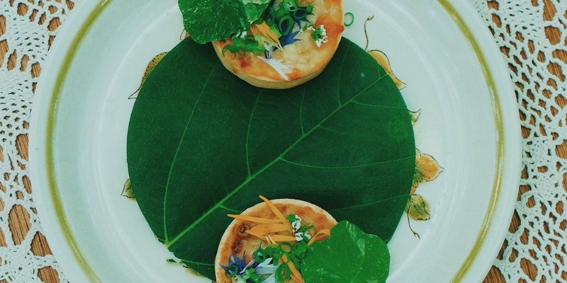 aussiebucketlist.com.au - The Enchanted Fig Tree - 7