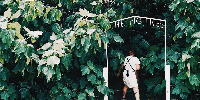 aussiebucketlist.com.au - The Enchanted Fig Tree - 8