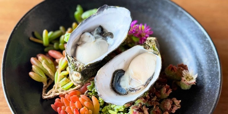 aussiebucketlist.com.au - Sunset Food and Wine - 1