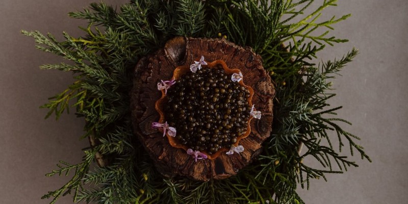 aussiebucketlist.com.au - Restaurant Botanic - 1