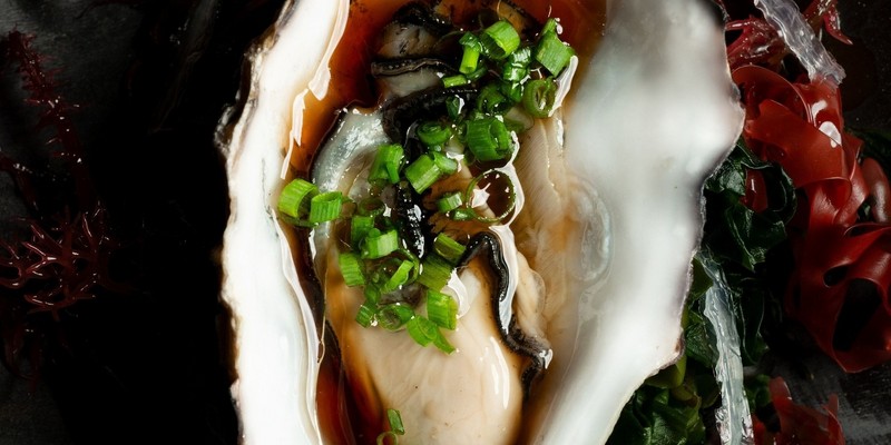 aussiebucketlist.com.au - Shōbōsho - 6