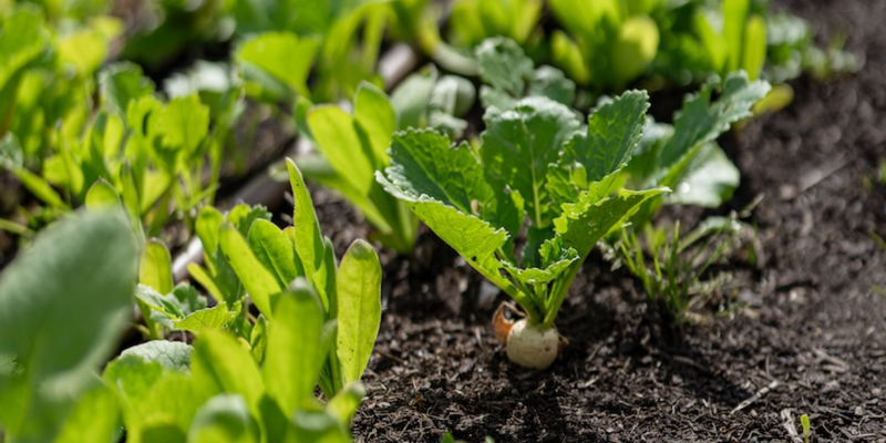 aussiebucketlist.com.au - Ten Minutes by Tractor - 7