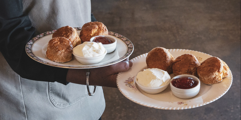 aussiebucketlist.com.au - The Long Paddock - 9