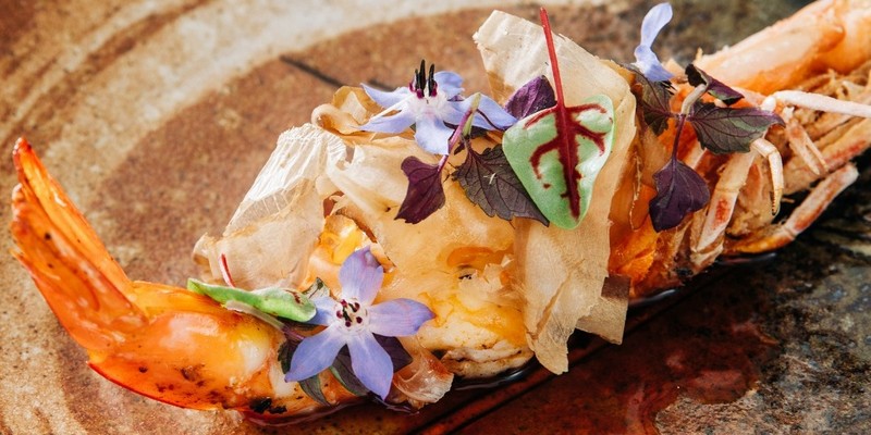 aussiebucketlist.com.au - Rumi on Louth - 5