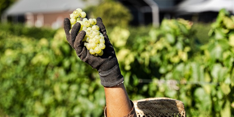 aussiebucketlist.com.au - Wills Domain - 6