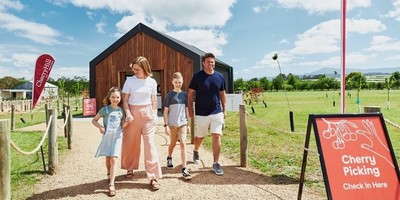 Cherry Picking Coldstream