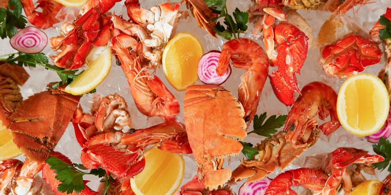 aussiebucketlist.com.au - Citrique - 7