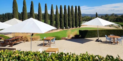 The Lane Vineyard
