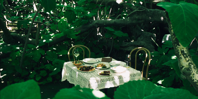 The Enchanted Fig Tree