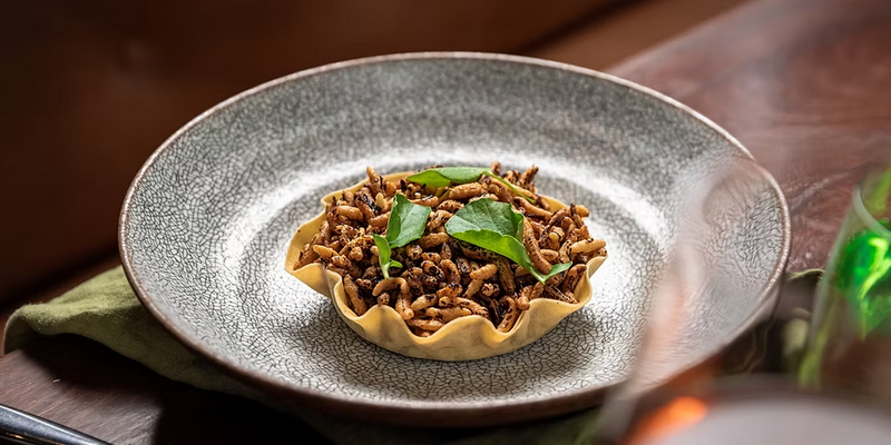 aussiebucketlist.com.au - Glasshouse Restaurant (Goonoo Goonoo Station) - 5