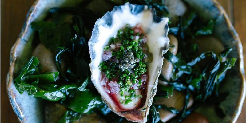 aussiebucketlist.com.au - The Cowrie - 5