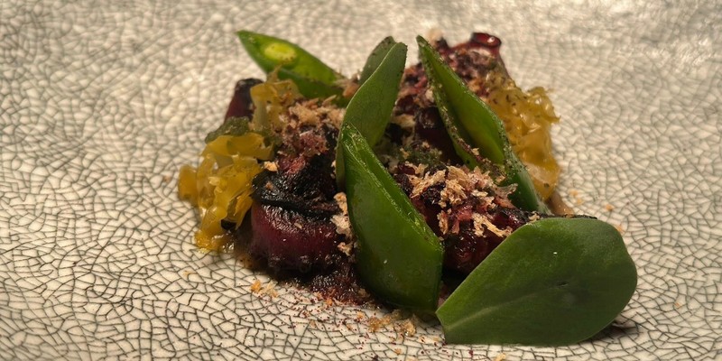 aussiebucketlist.com.au - The Cowrie - 7