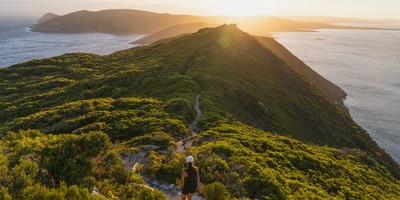 Bald Head Trail
