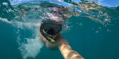Bateman's Bay Snorkelling and Sightseeing Experience