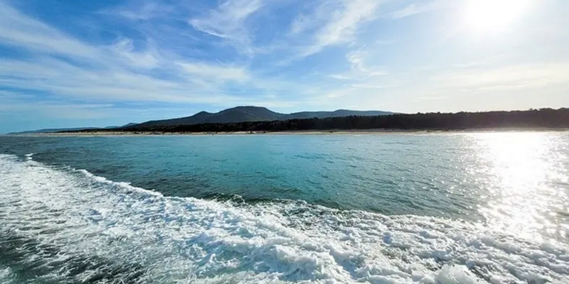 aussiebucketlist.com.au - Wilsons Prom Whale Cruise - 6