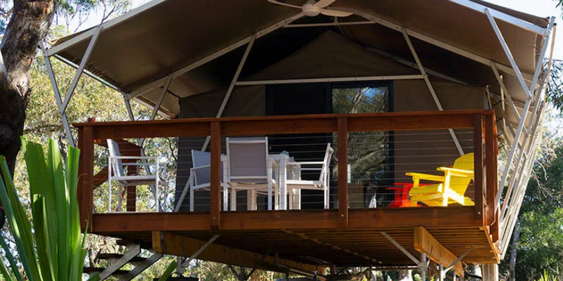 aussiebucketlist.com.au - Port Stephens Koala Sanctuary - 1