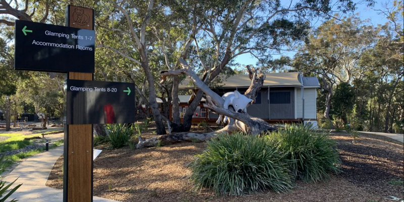 aussiebucketlist.com.au - Port Stephens Koala Sanctuary - 3