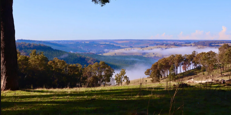 aussiebucketlist.com.au - Serenity Gully - 7