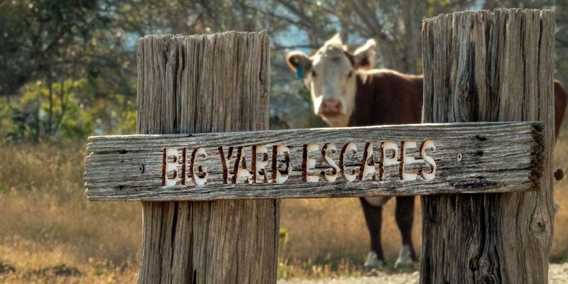 aussiebucketlist.com.au - Big Yard Escapes - 5