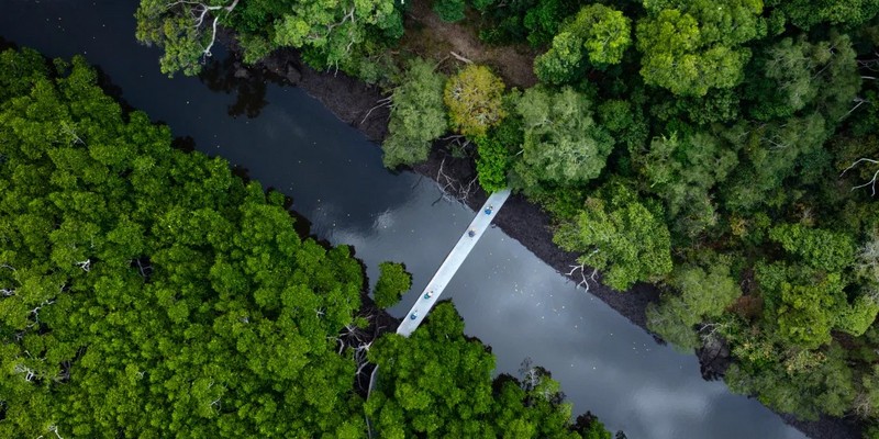 aussiebucketlist.com.au - Ngaro Track - 3