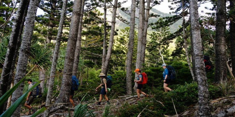 aussiebucketlist.com.au - Ngaro Track - 4