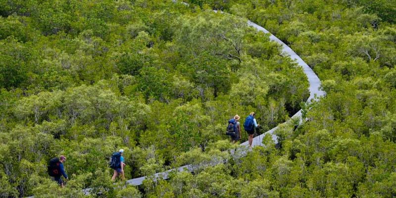 aussiebucketlist.com.au - Ngaro Track - 5